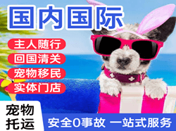 遵义茅台机场空运国际宠物托运 【国
